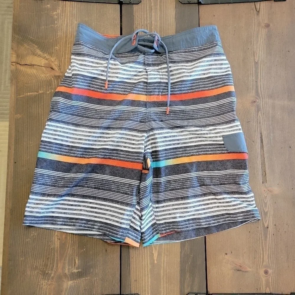 Men’s Speedo multi-color striped swim shorts board